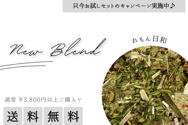 レモン日和販売開始