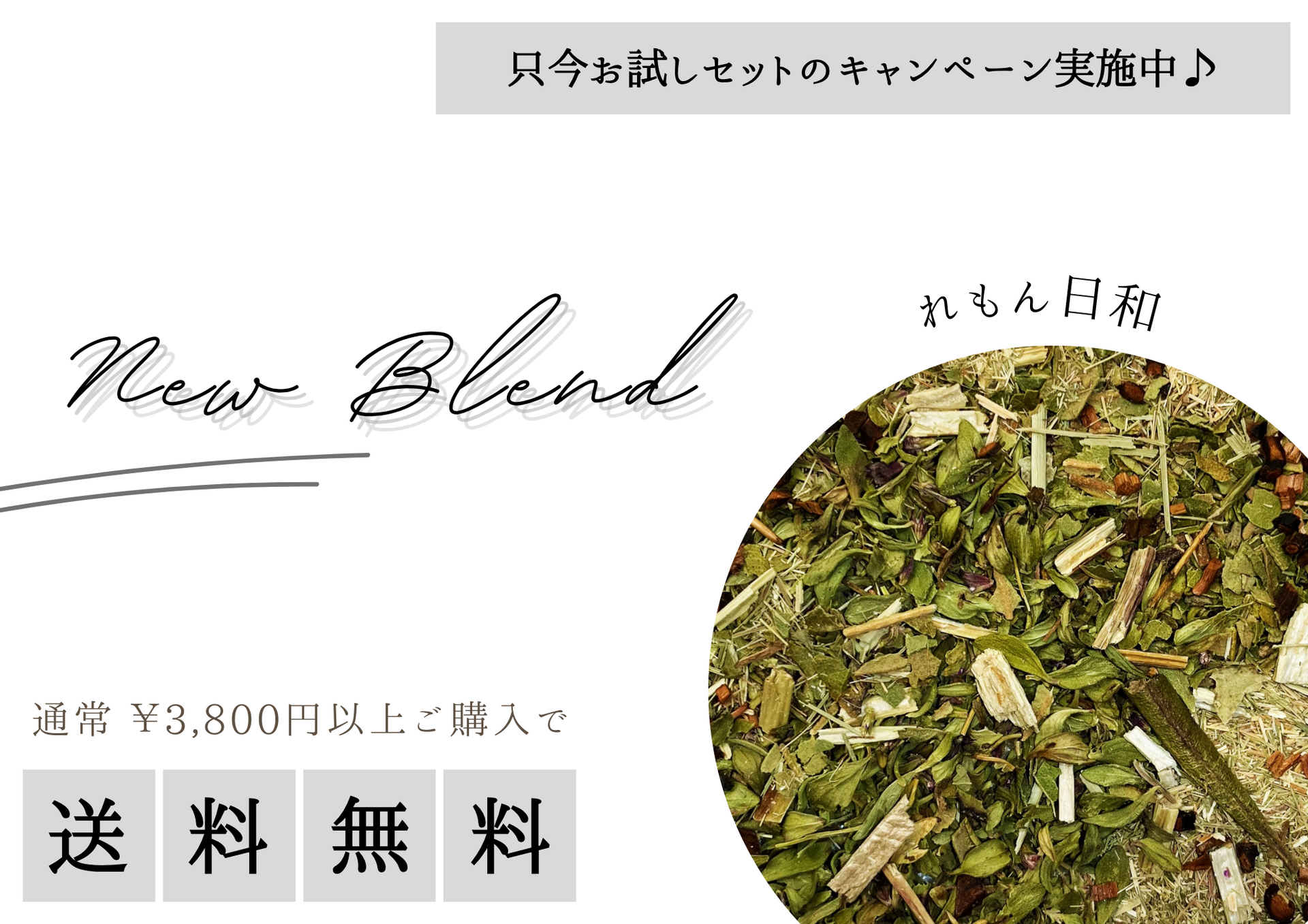 レモン日和販売開始
