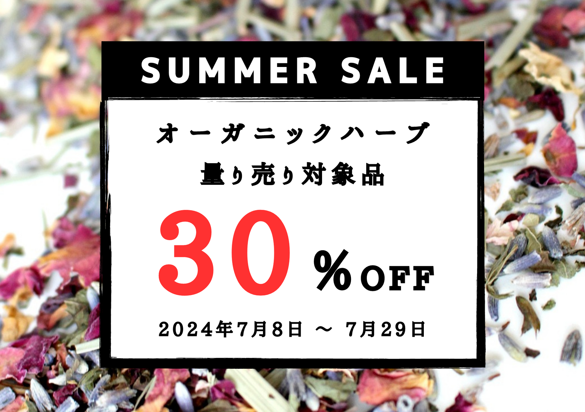 黄色　赤　カラフル　セール　店頭POP
