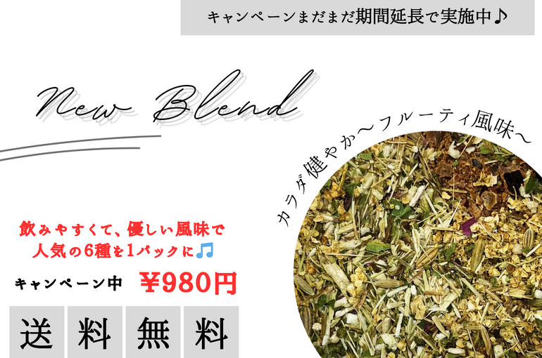 入荷のご案内