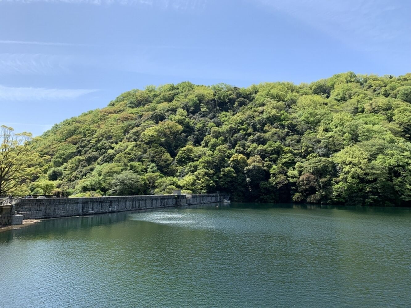 画像7545