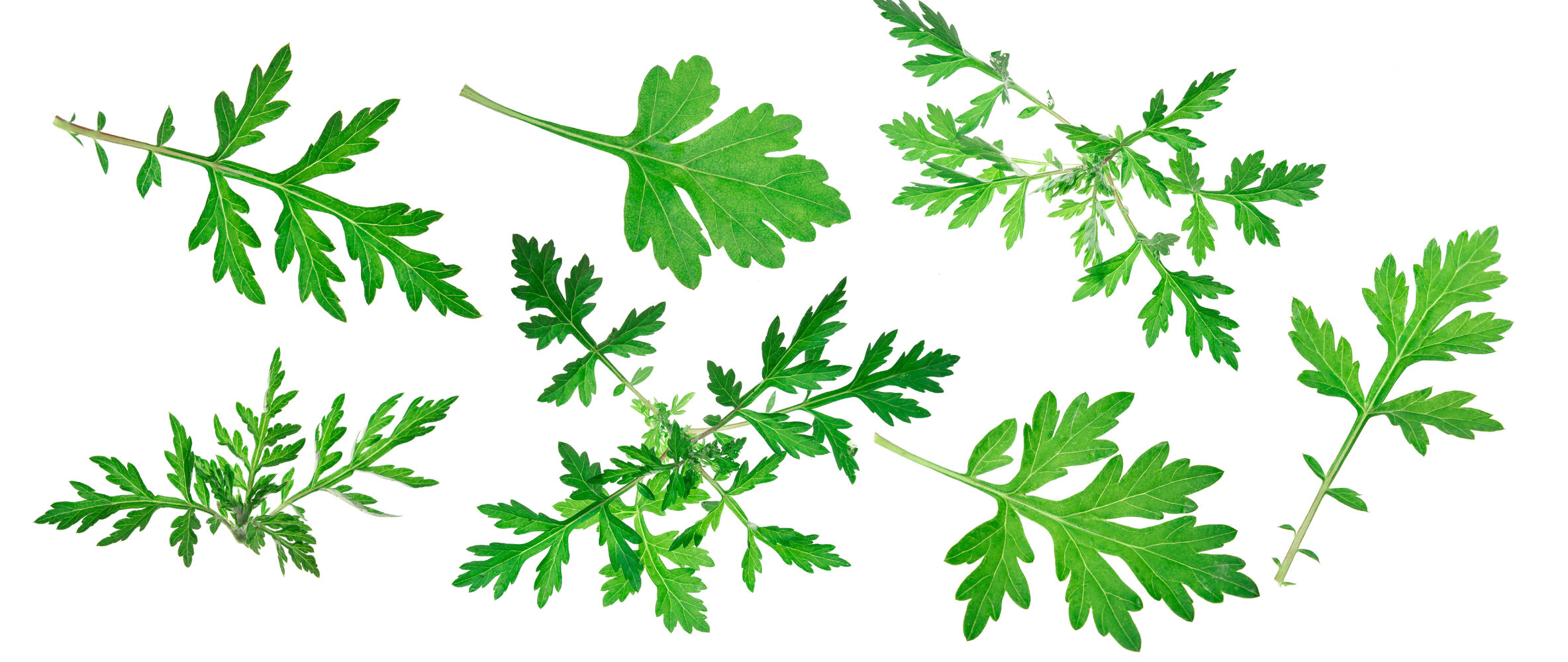 画像8676